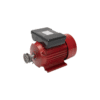 Motor electric 2.5 kw 3000rpm TROIAN ROSU
