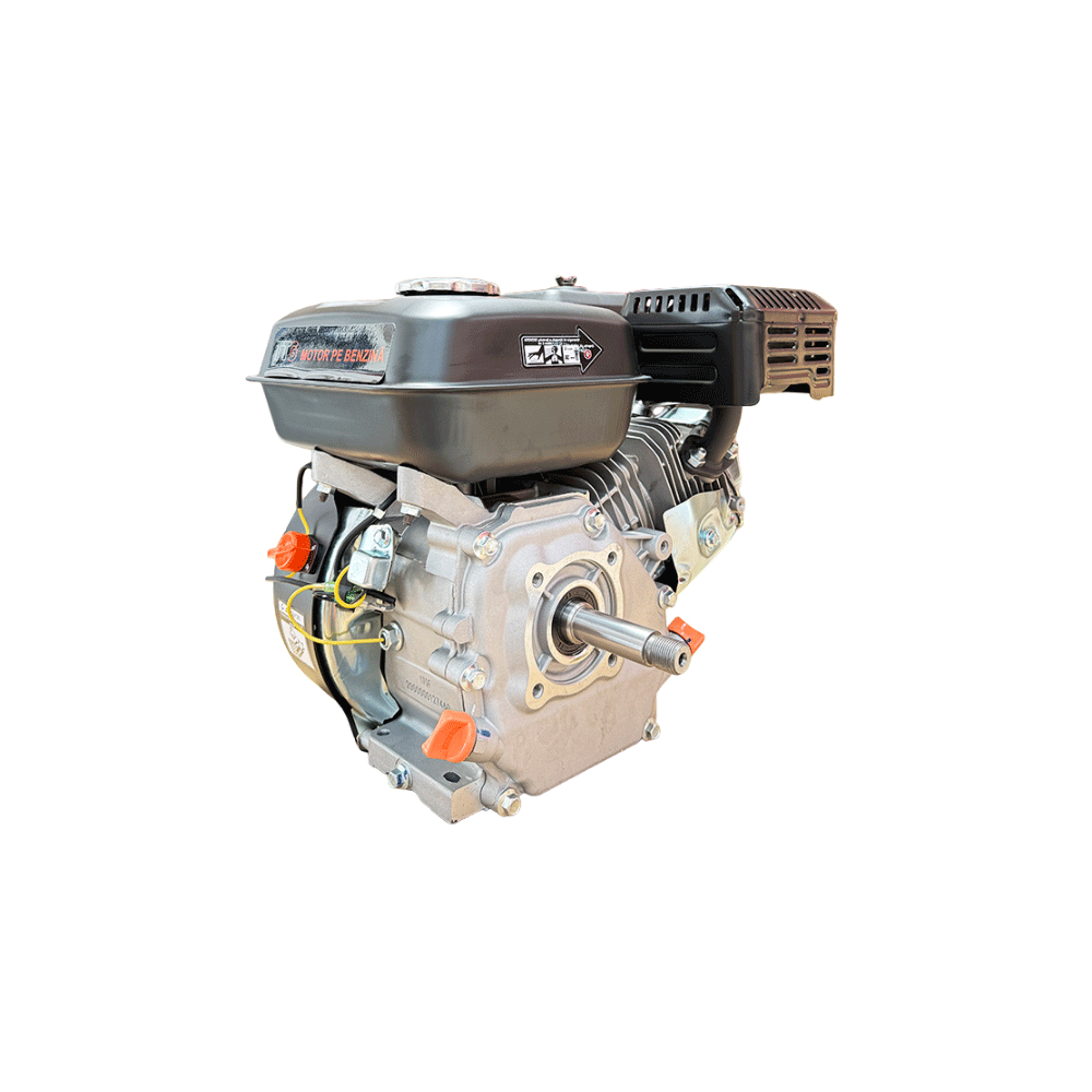MOTOR MOTOCULTOR / MOTOSAPA 7.0CP (FILET 18mm – TTG) - imagine 2